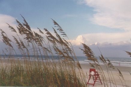 The dunes of Island House